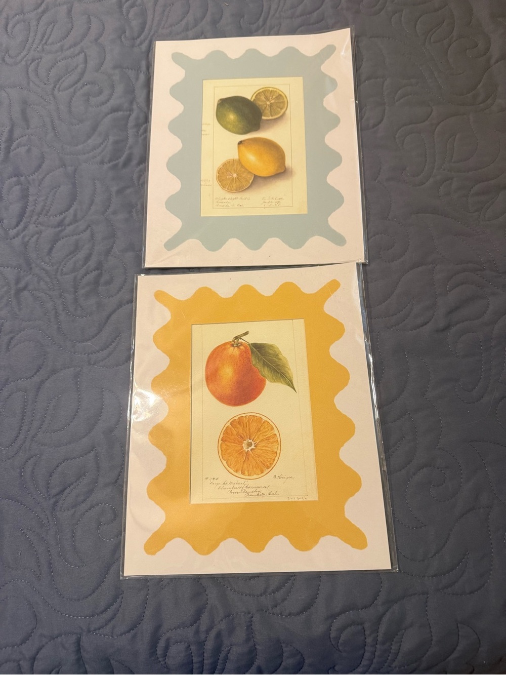 Home Art Citrus Print Set - Yellow & Light Blue Frames